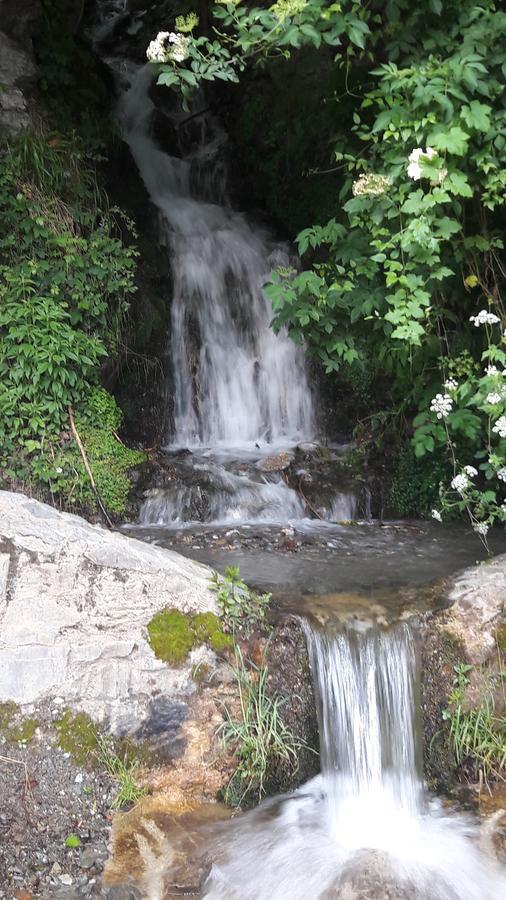 Rural L'ortiga Blanca Hotel Queralbs (Caralps)