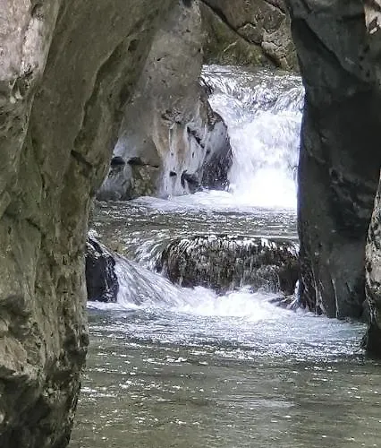 Rural L\'Ortiga Blanca